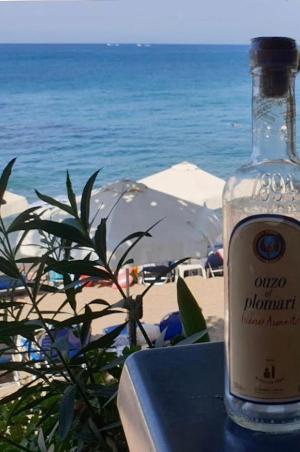 Mediterranean Dream Voroklini Dış mekan fotoğraf