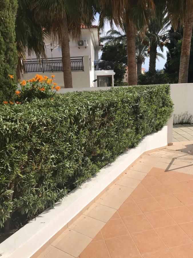 Mediterranean Dream Voroklini Dış mekan fotoğraf